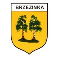 Zebranie wiejskie w Brzezince